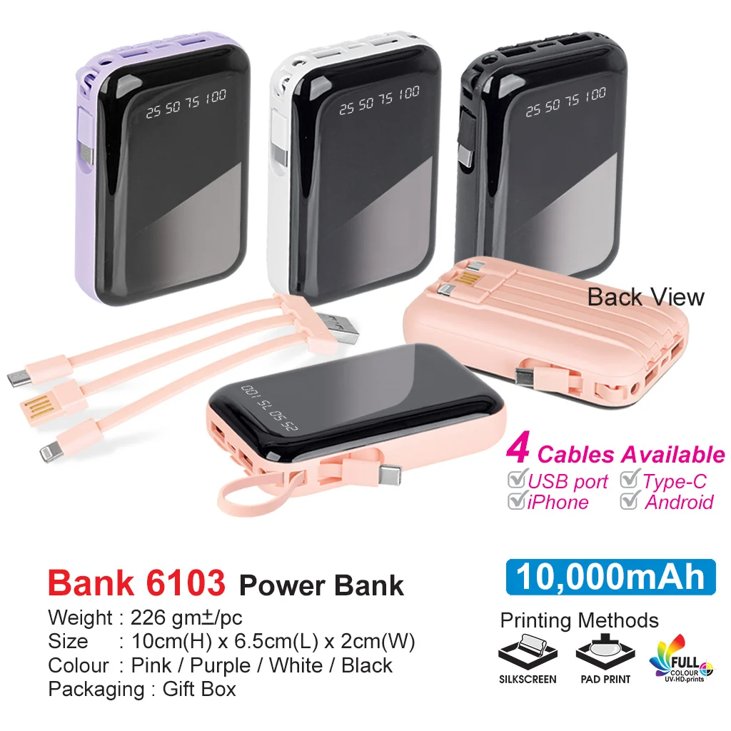 10000mAh Powerbank (BANK6103)