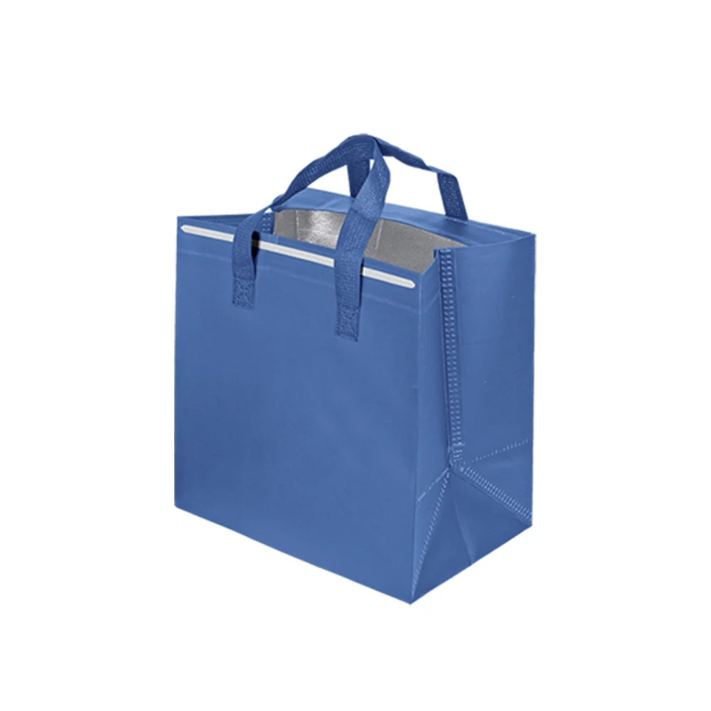 Cooler & Warmer Bag (COB501) - Image 3