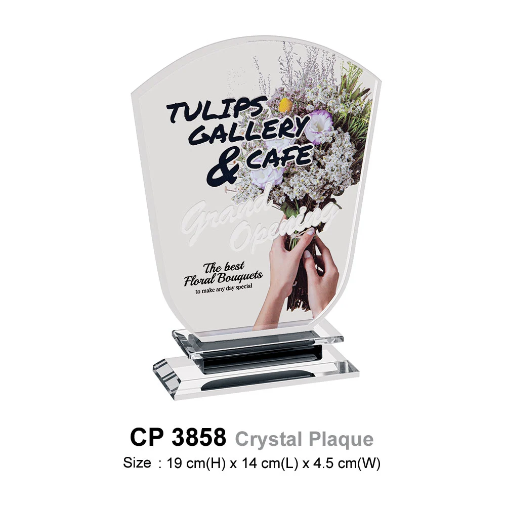 Crystal Plaque (CP3858)