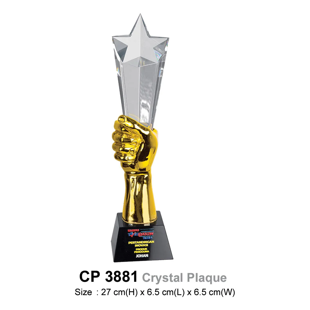 Crystal Plaque (CP3881)
