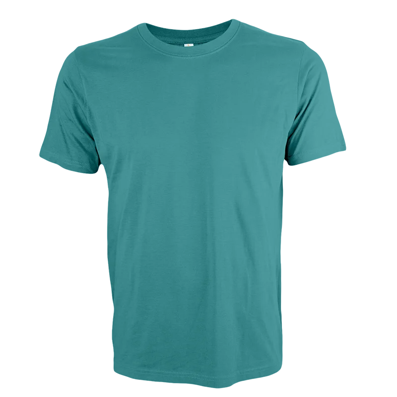 Comfy Cotton T-shirt – 160gsm (CT51) - Image 45