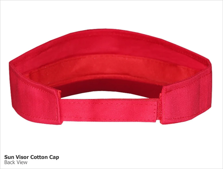 Sunvisor (SV) - Image 3