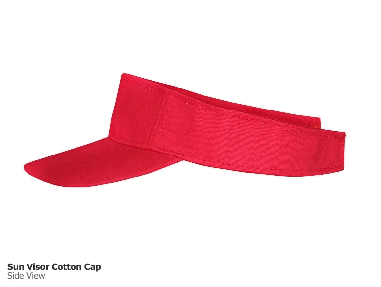 Sunvisor (SV) - Image 2